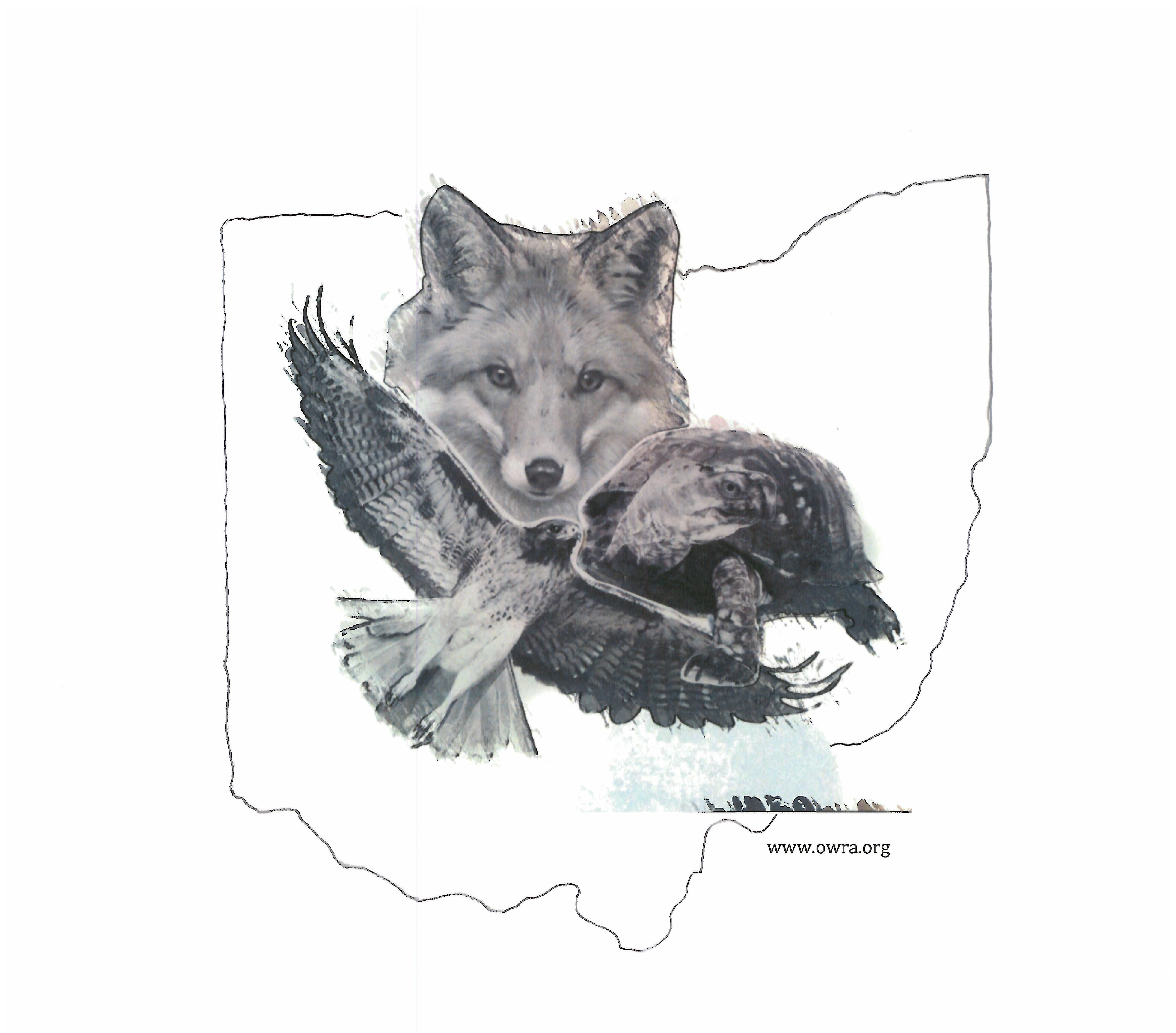 Ohio Wildlife Rehabilitators Association